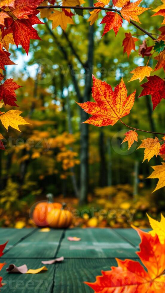 Autumn Leaves Framing a Pumpkin on a Table photo