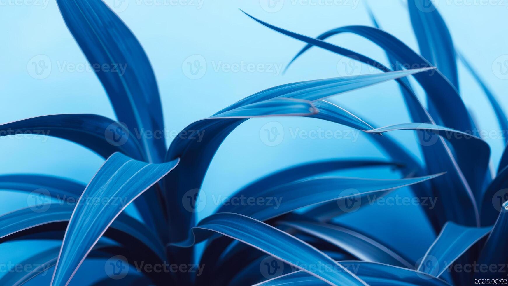 Abstract Blue Plant photo