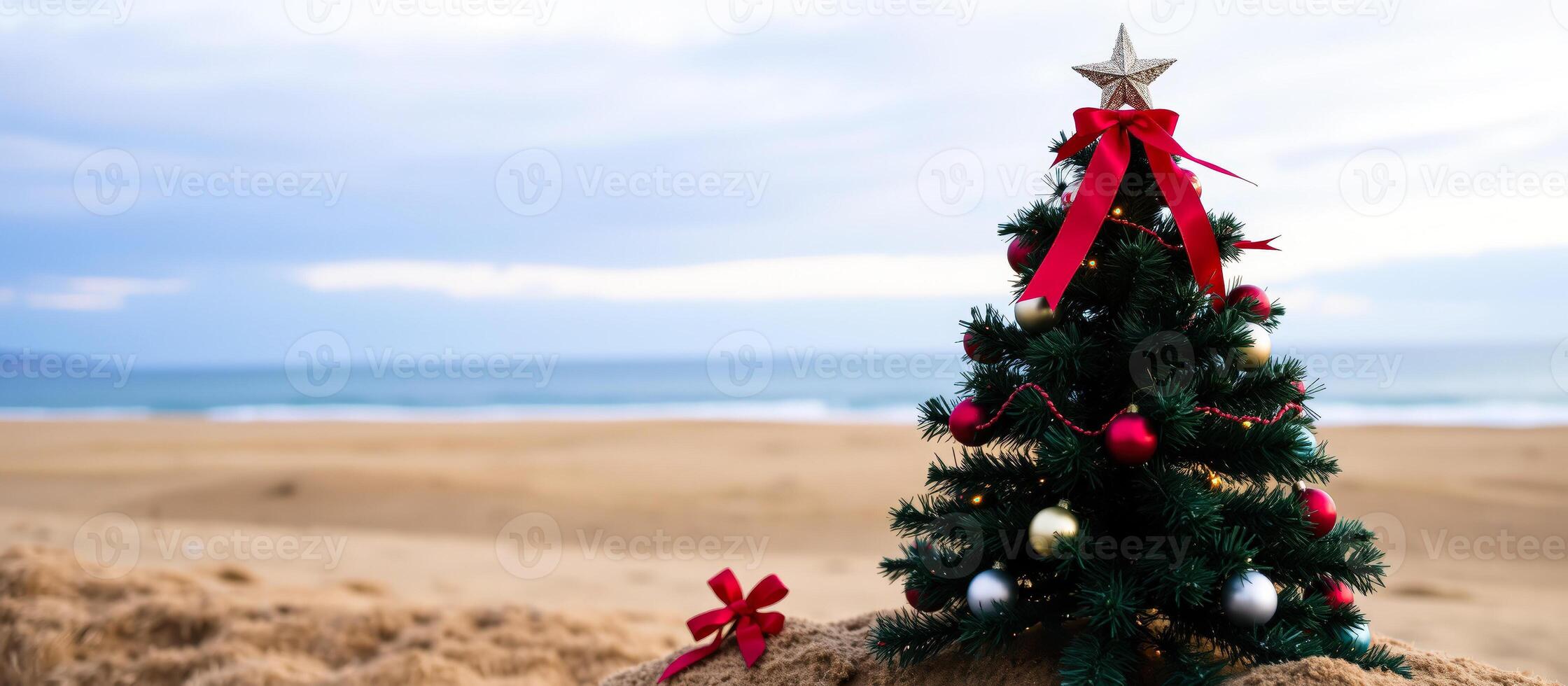 Christmas Tree on the Beach photo