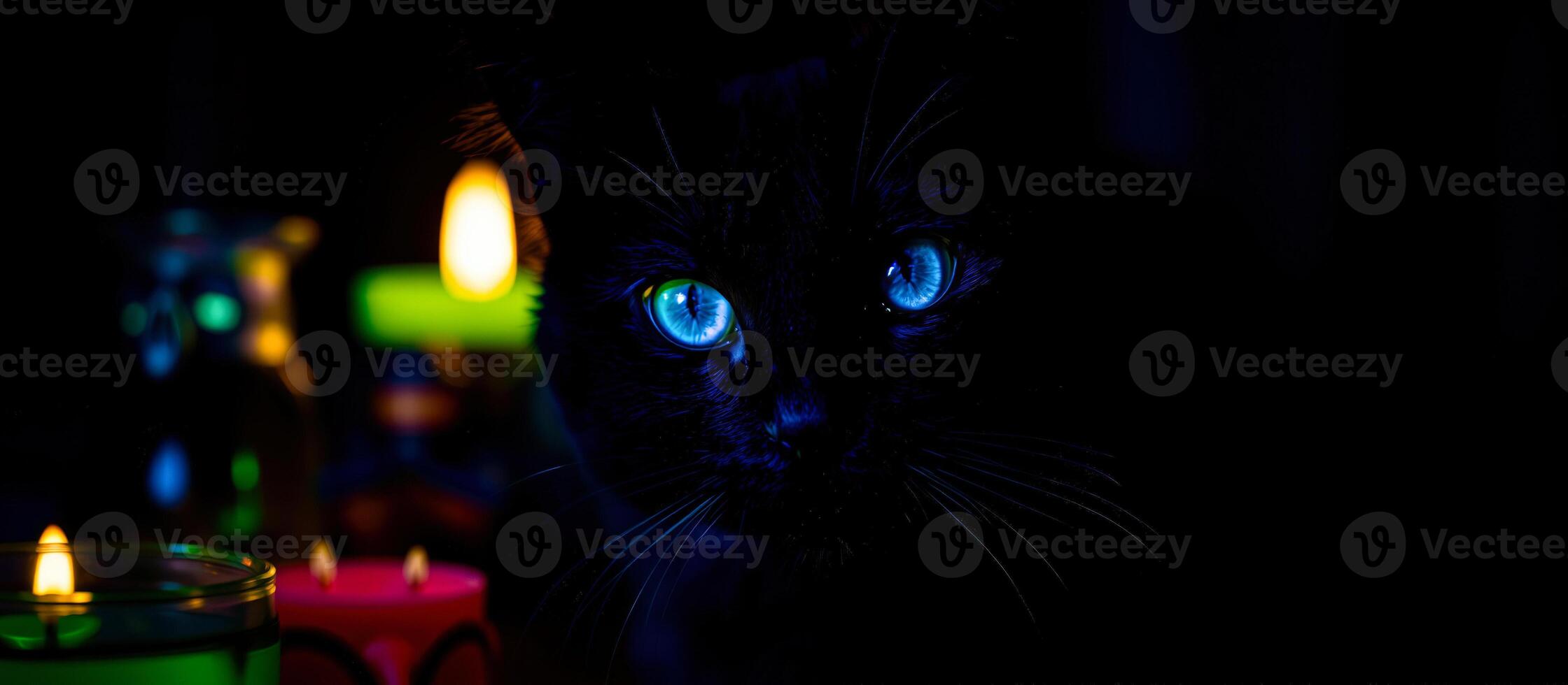 black cat with bright blue eyes stares intently photo