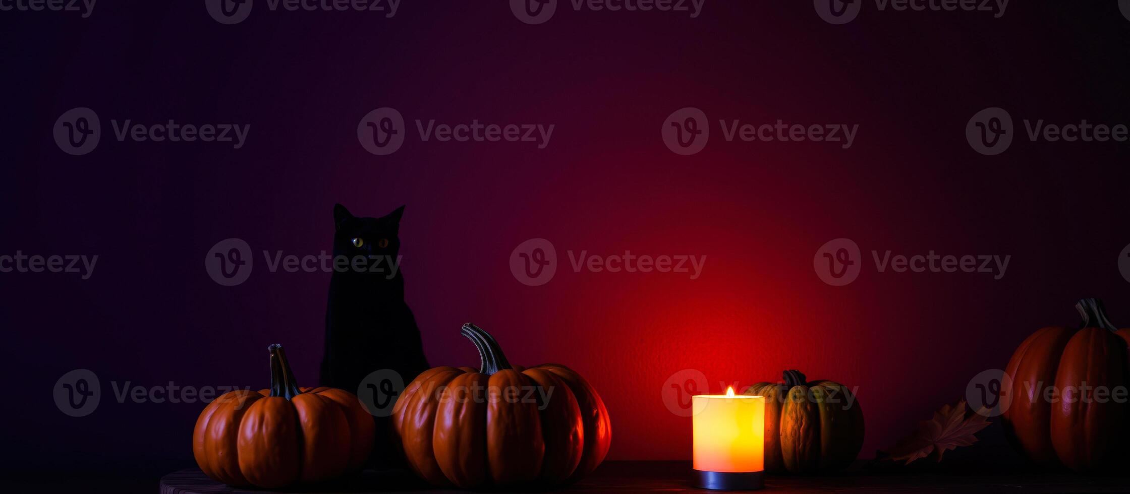 black cat poses with pumpkins a candle photo