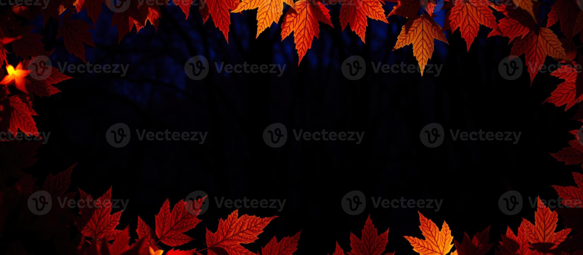 frame vibrant fall leaves photo