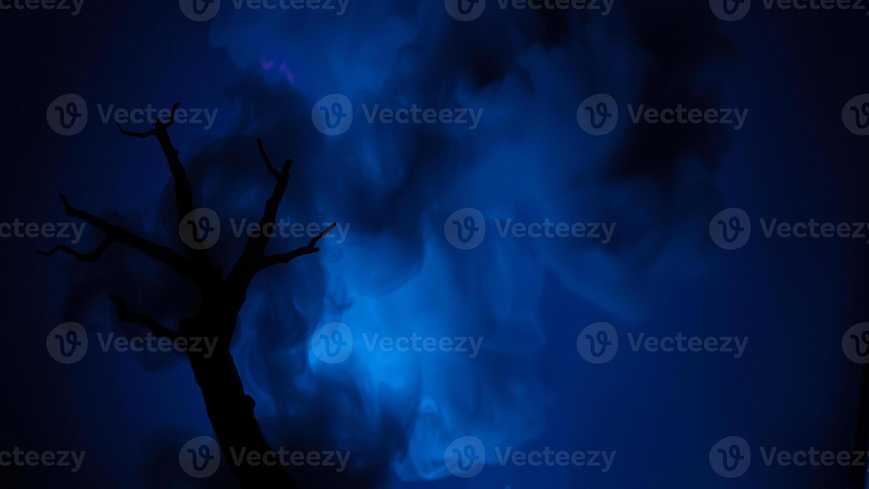 skeletal tree branch against swirling blue smoke photo