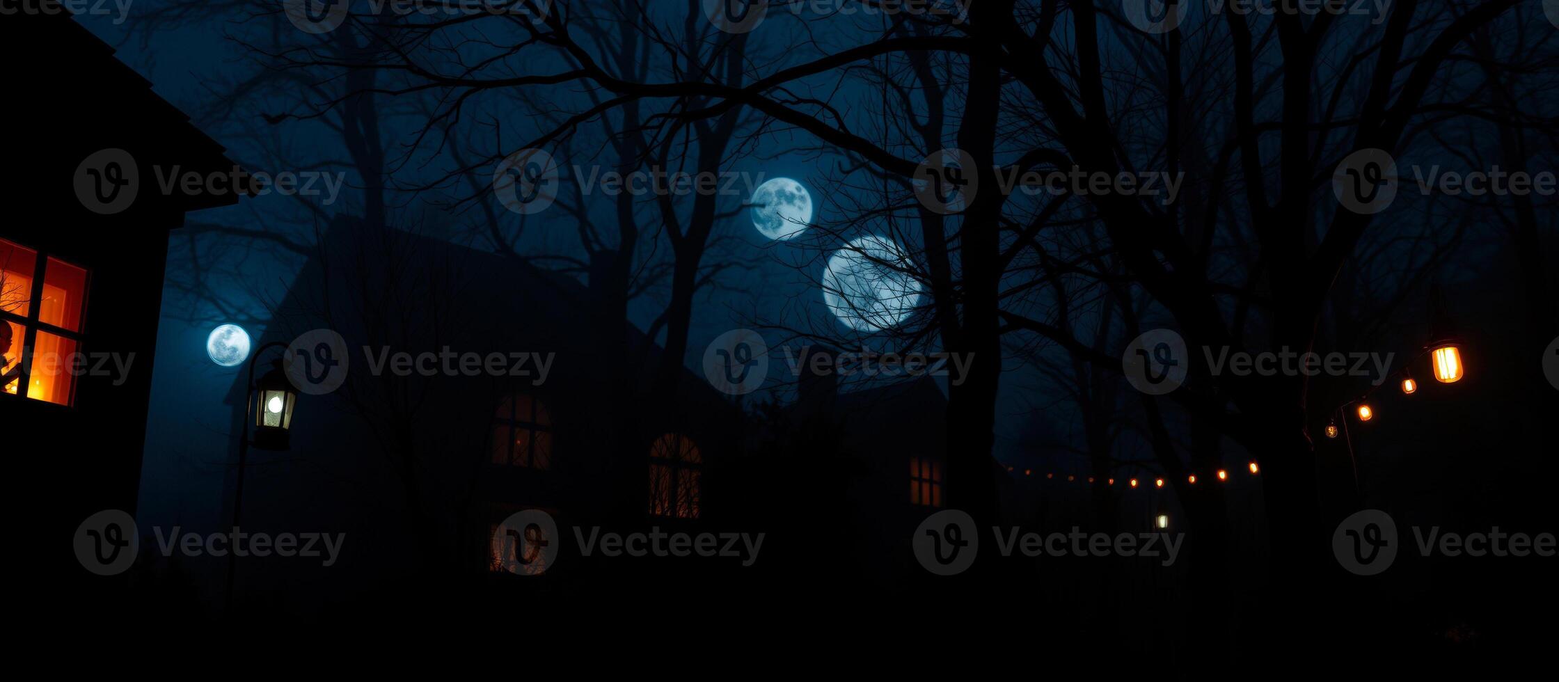 silhouetted house under a mystical night sky photo
