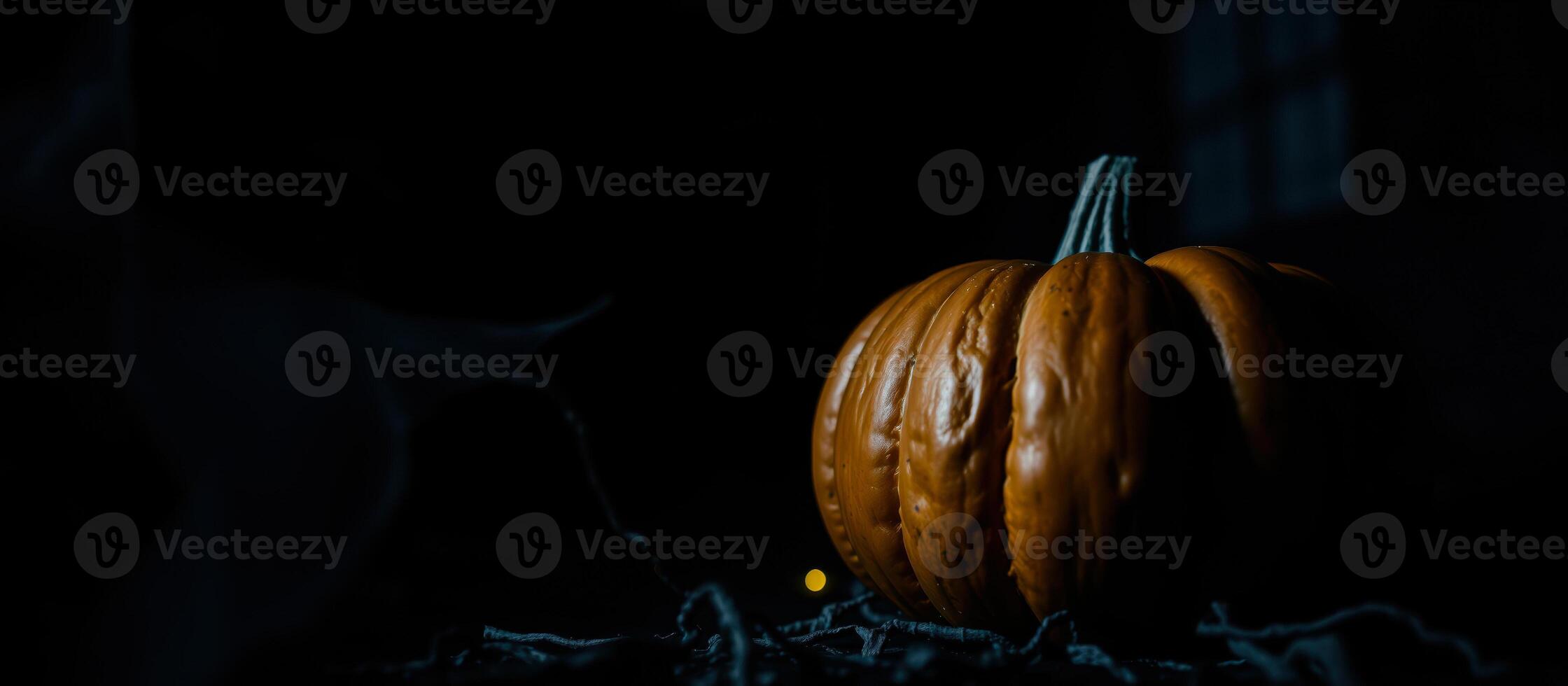 single pumpkin on a dark surface photo