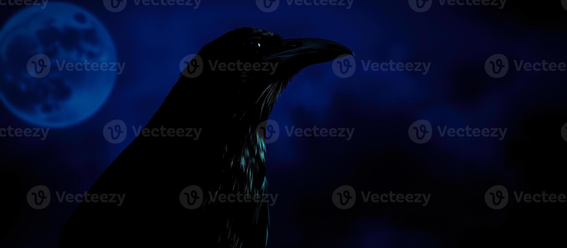 black crow silhouetted against a night sky with a blue moon photo