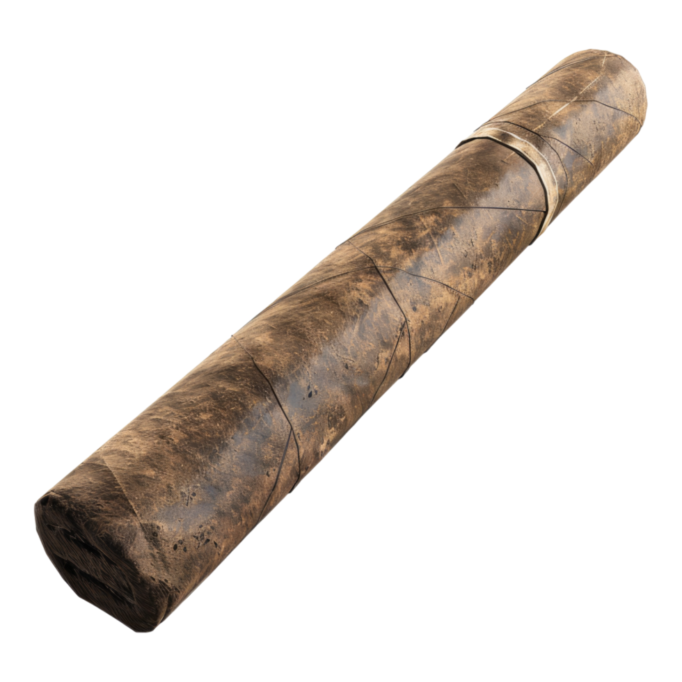 Cigar Isolated in transparent background. png