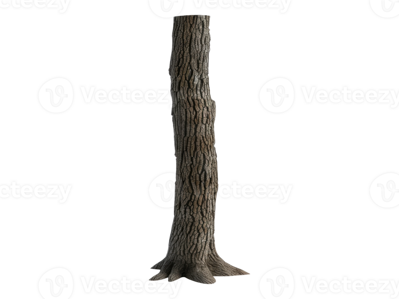 Old dry tree trunk. Isolated png