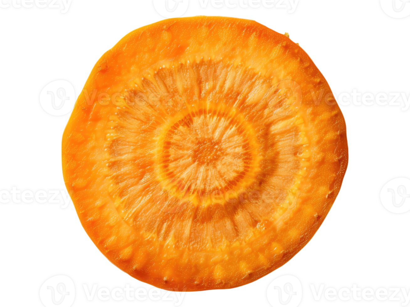Carrot slice. Isolated png