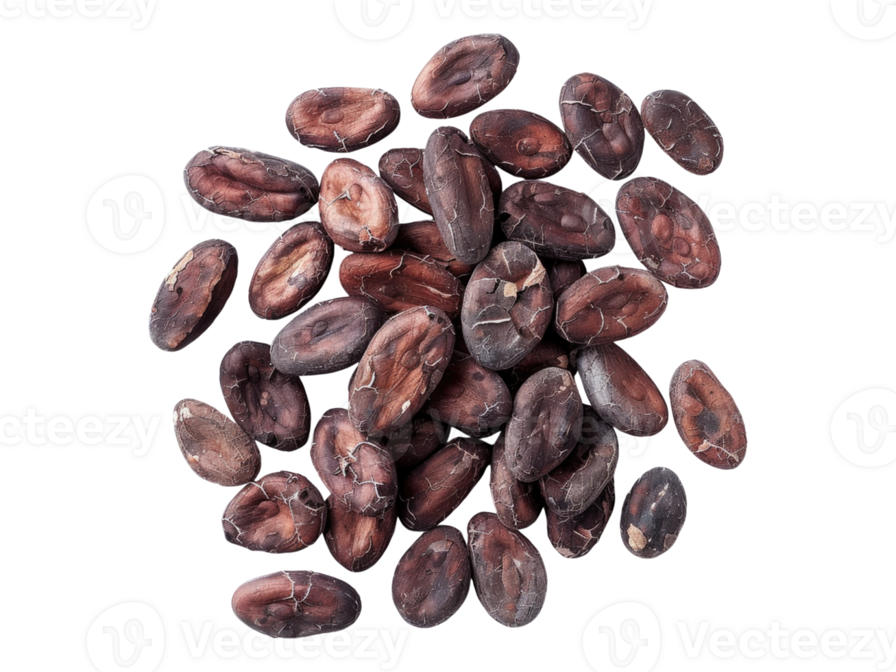 Dried cocoa beanss. Isolated png