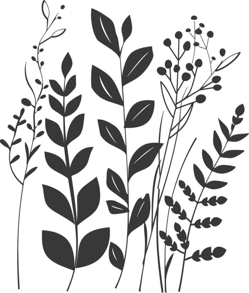 Simple Black and White Illustration of Various Leaves and Branches vector
