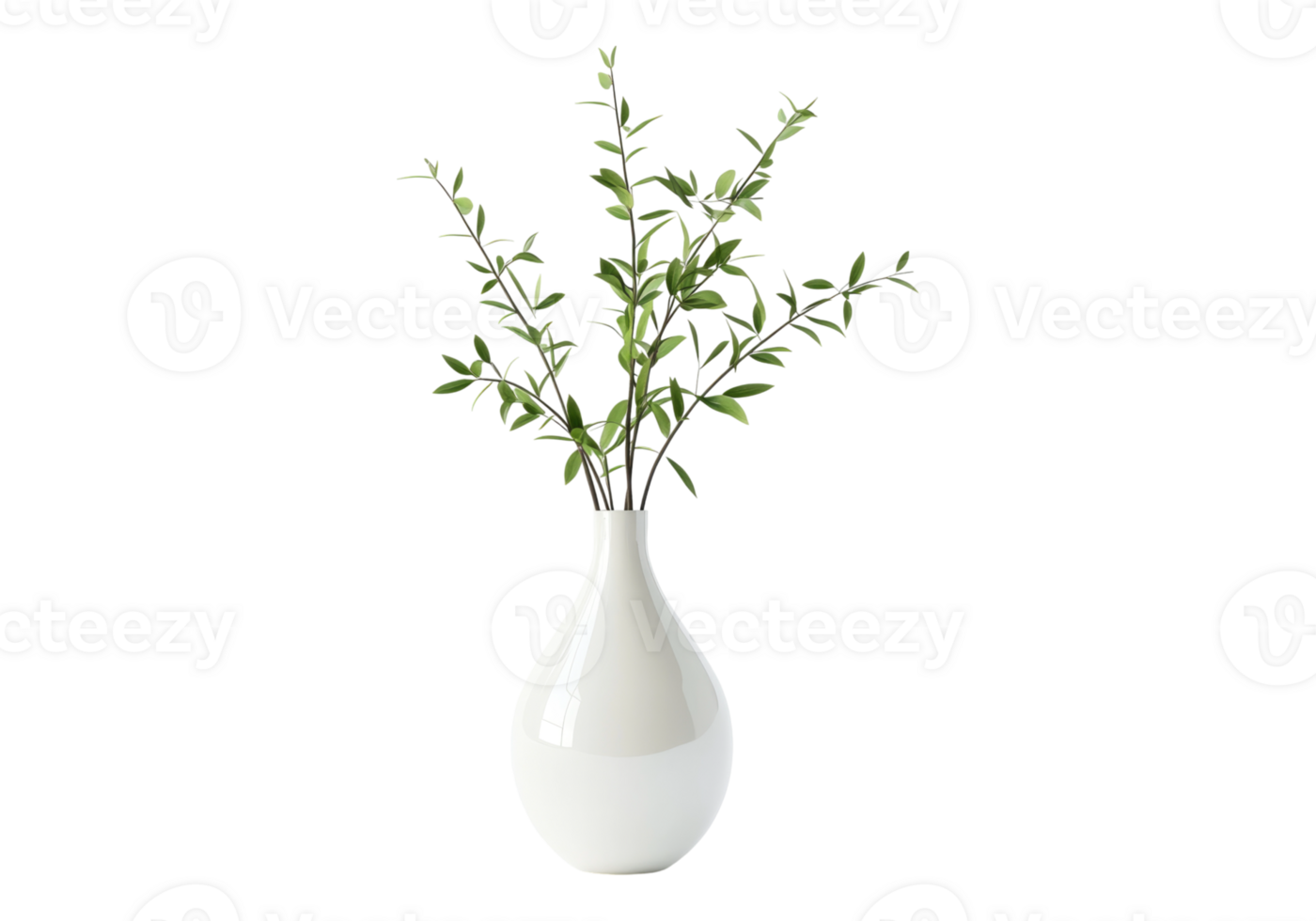 Photo of plant vase .Transparent background. Isolated . png