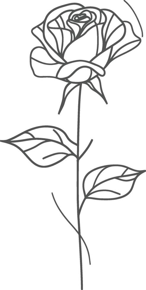 A rose is drawn in black and white on a white background vector