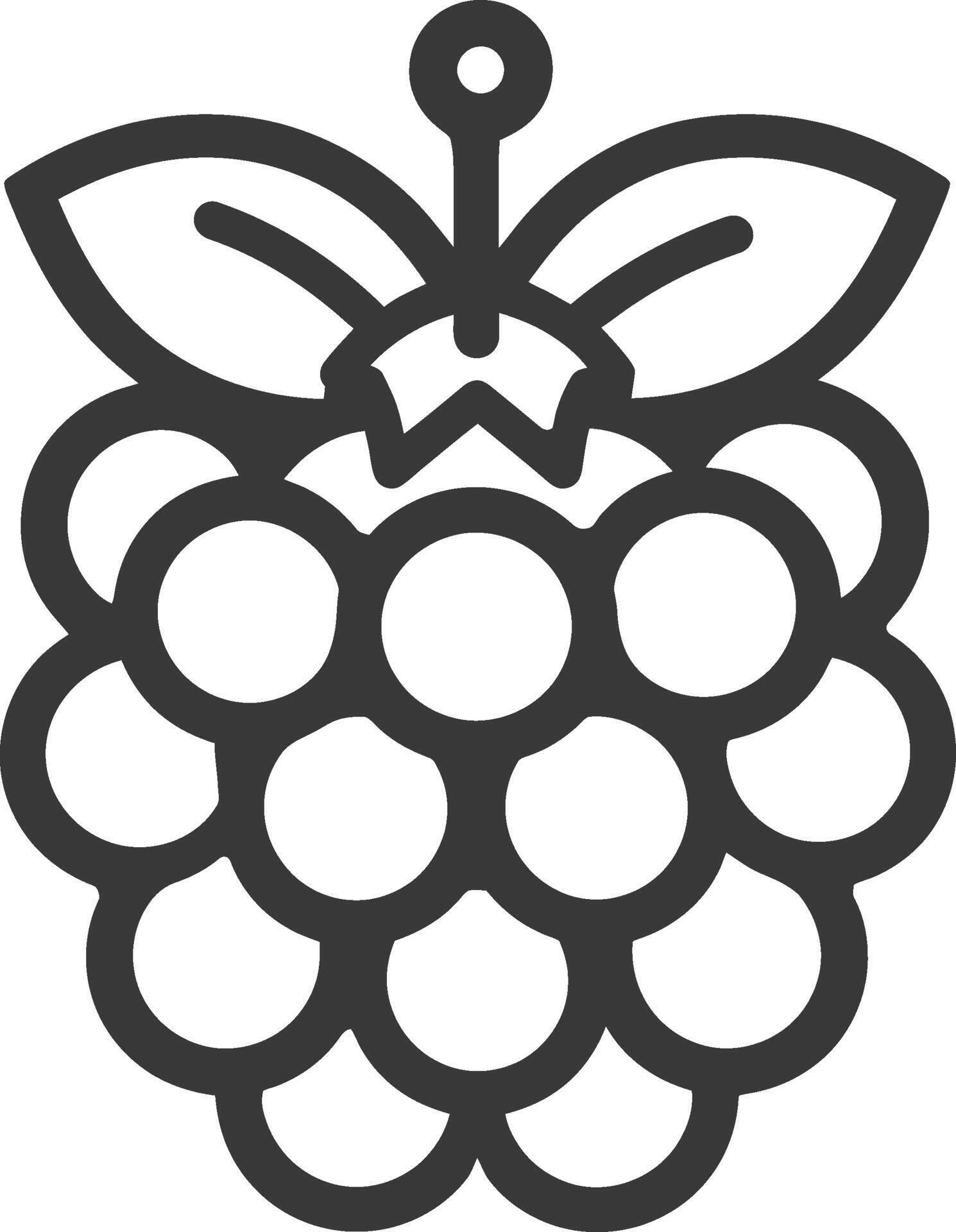 Raspberry pi icon illustration 52331322 Vector Art at Vecteezy