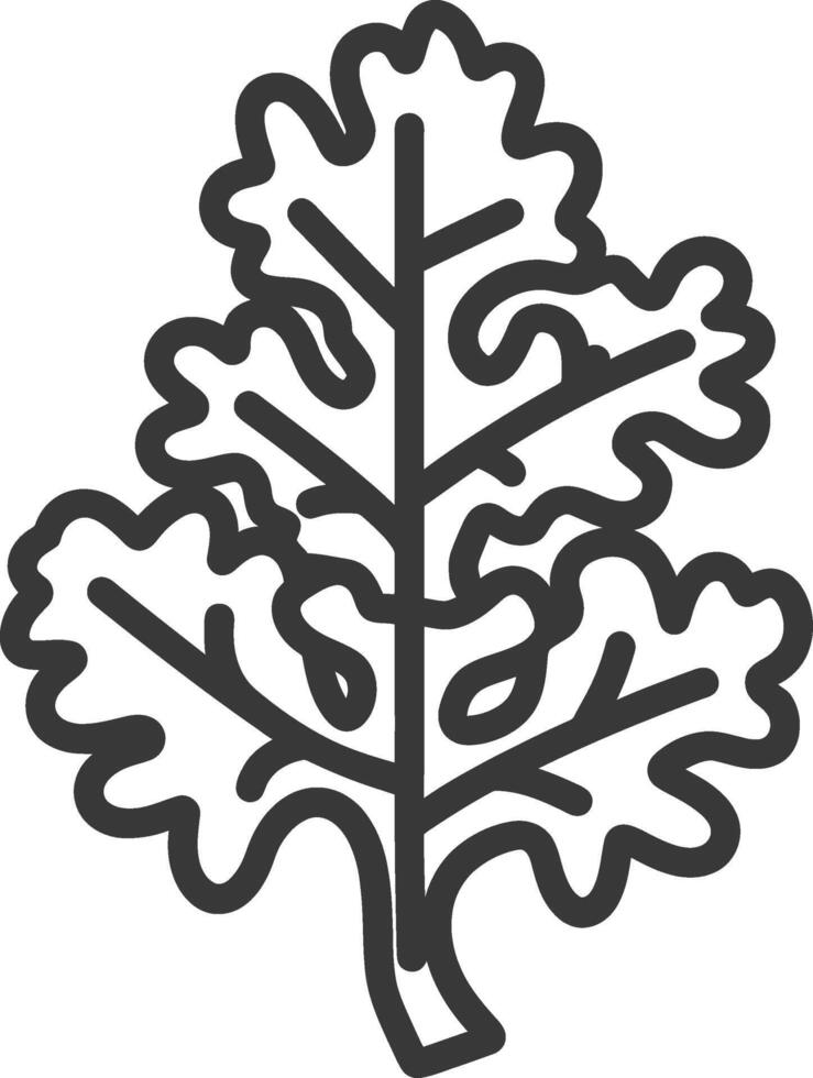 Oak leaf icon illustration vector