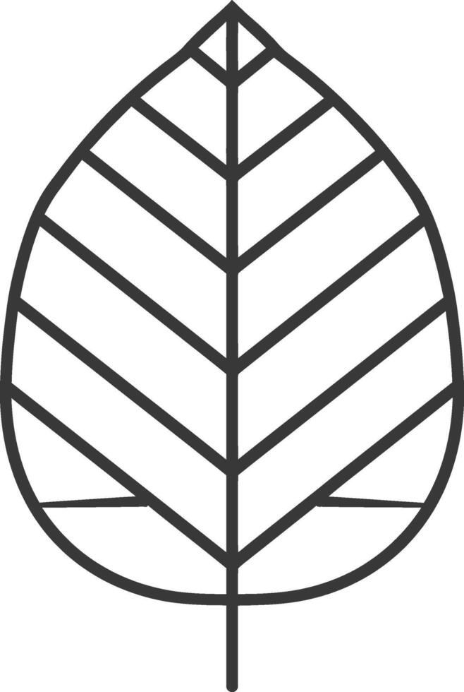 Simple Line Drawing of a Leaf with Veins vector