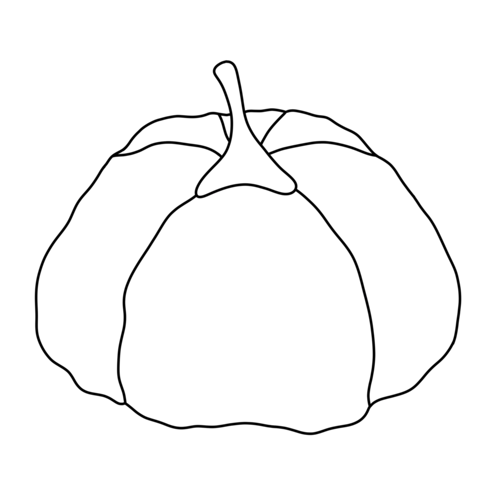 Halloween holiday. Outline big pumpkin for Halloween Day. png