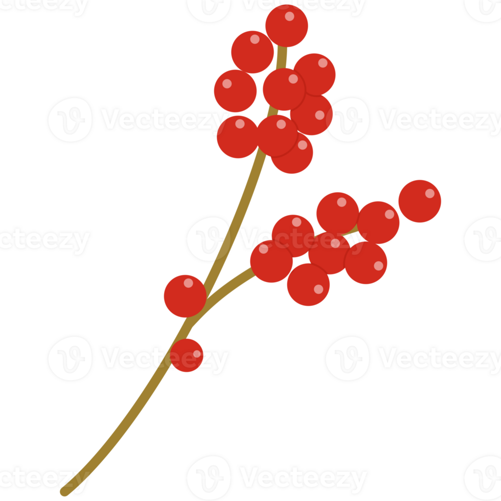 Xmas, Christmas decor, hand drawn png