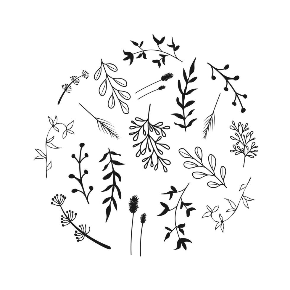 A monochrome illustration of flowers and leaves arranged in a circular pattern, resembling an artistic representation of nature vector