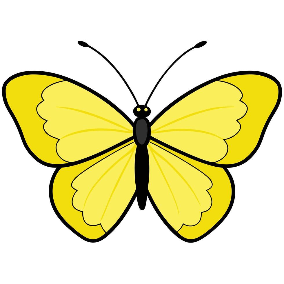 Yellow butterfly clip art vector