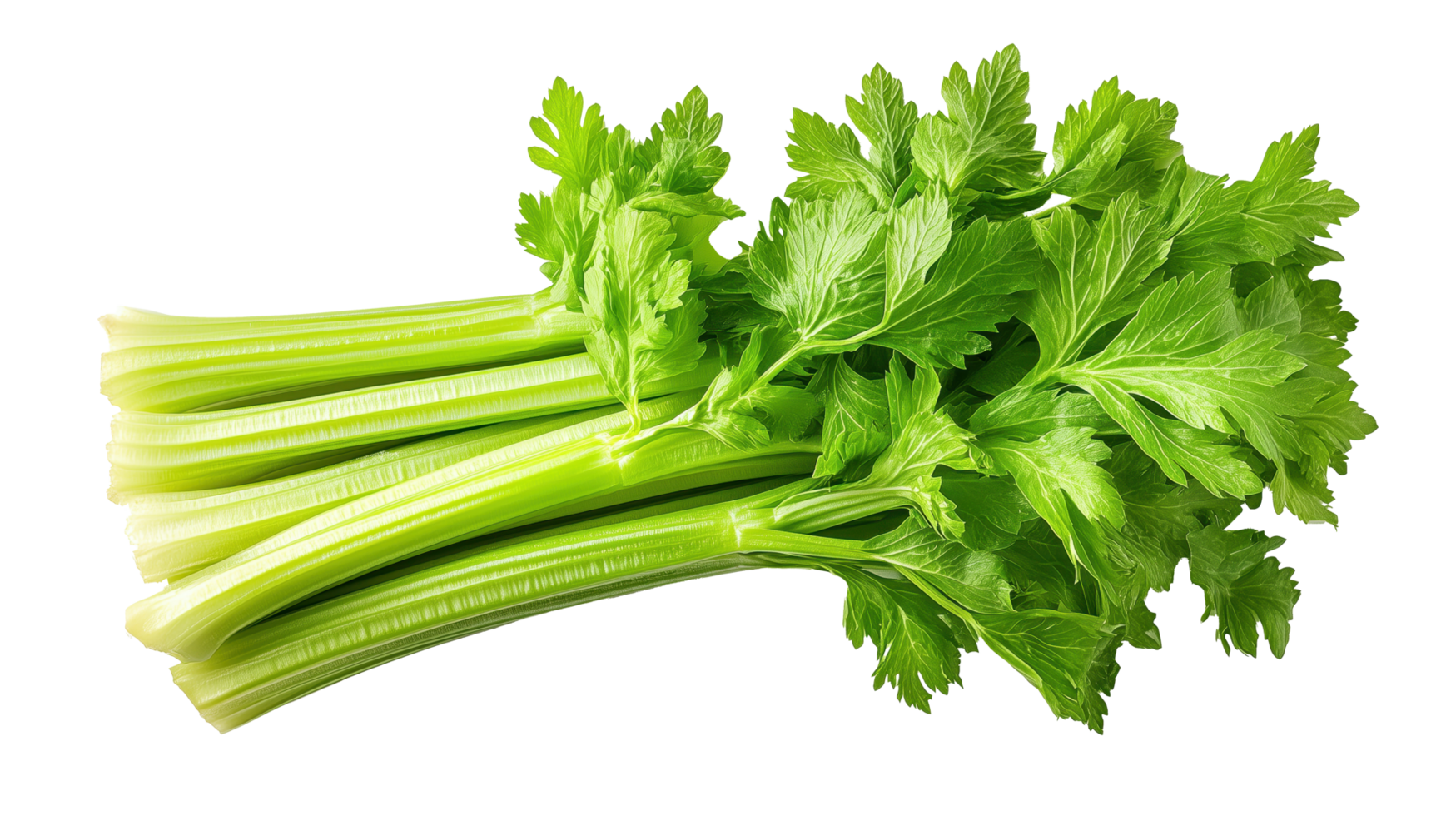 Fresh green celery with long leafy stems, perfect for healthy dishes and snacks. This vibrant vegetable adds crisp texture and flavor to salads and soups png