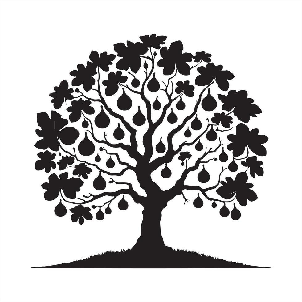 Fig tree silhouette on white background vector