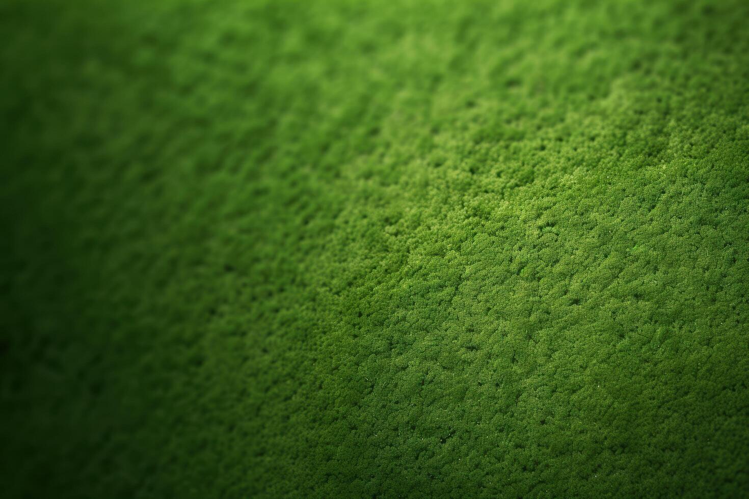 Lush green moss texture photo
