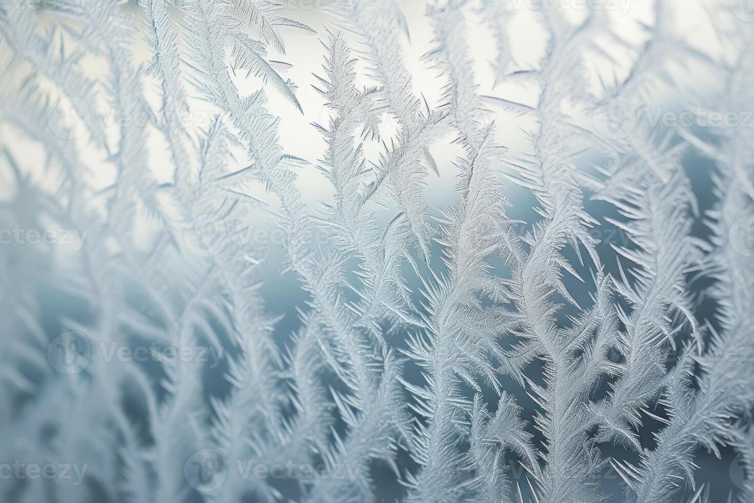 Intricate frost patterns on a window photo