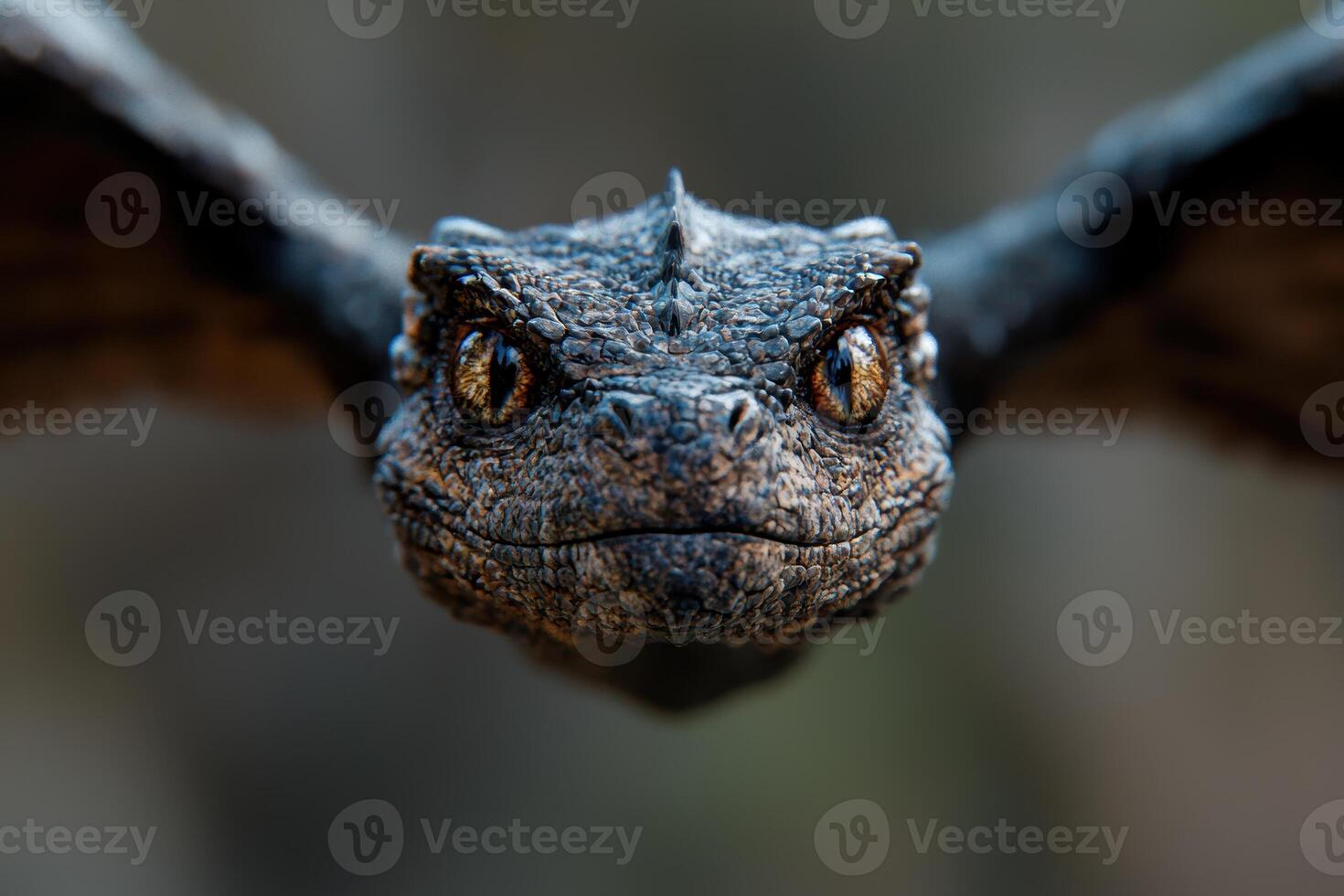 Close up of a reptilian face with intense eyes photo