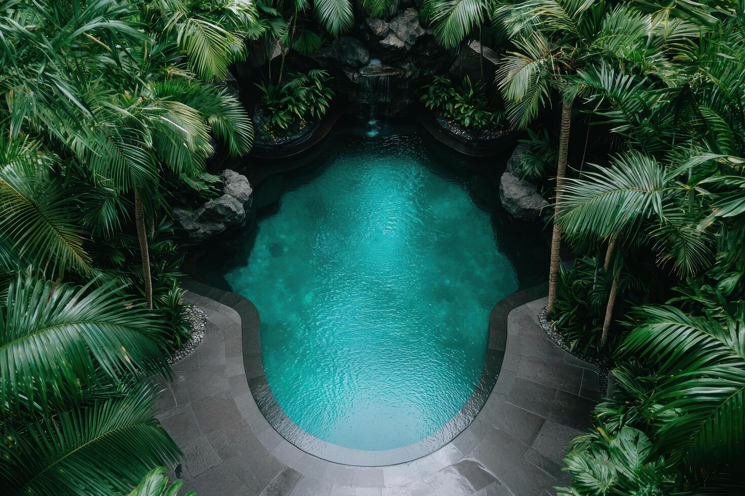 Tropical oasis with lush greenery and inviting pool photo