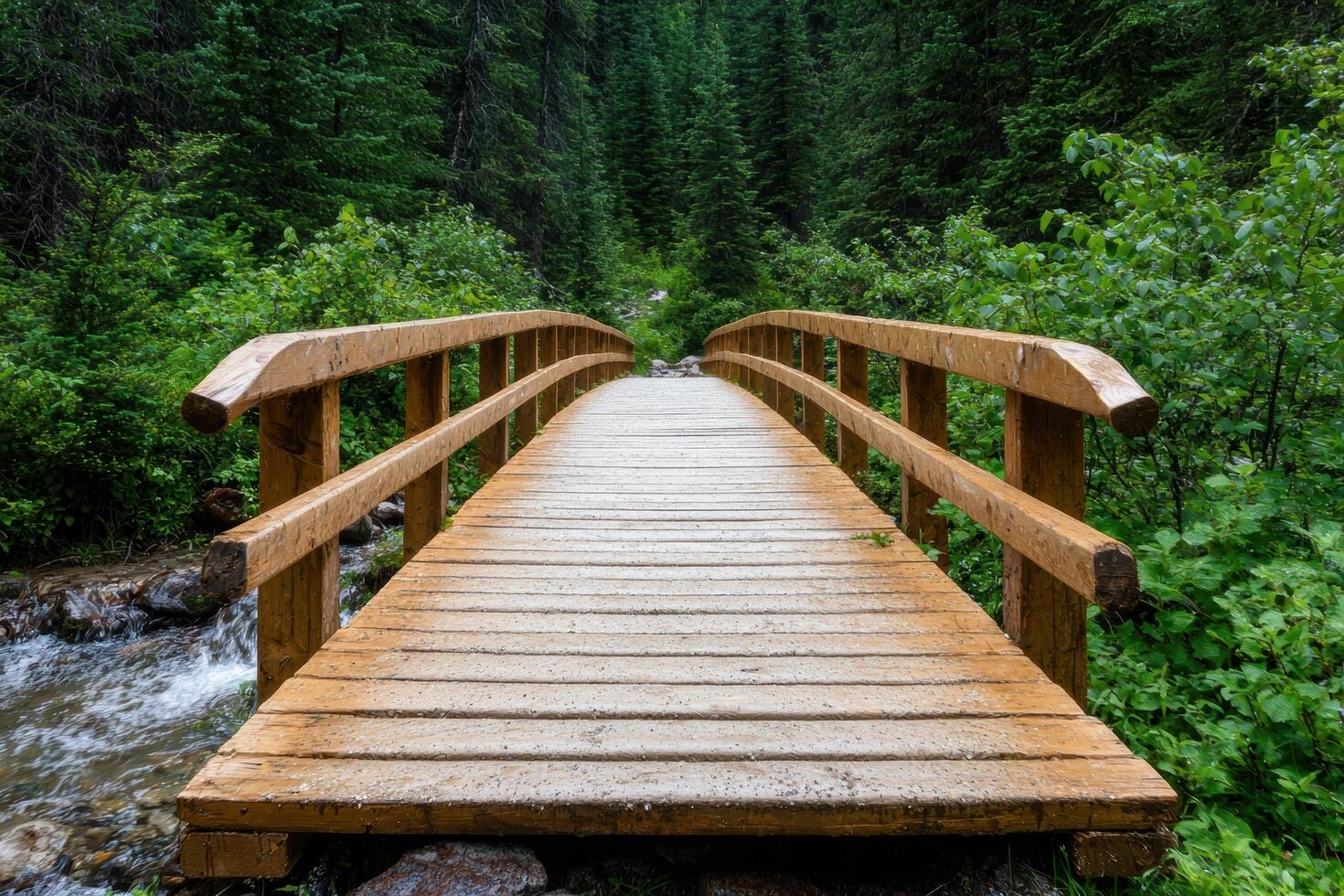 Wooden bridge over a stream in a lush green forest photo