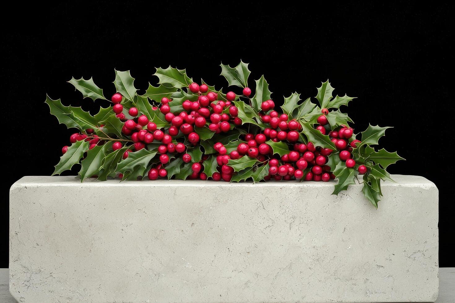 festive holly berries on concrete photo