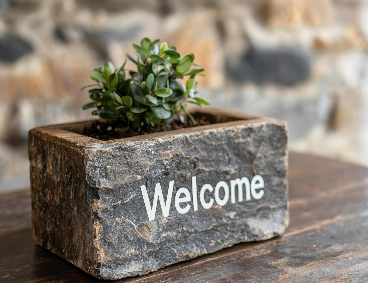 Rustic wooden planter with succulent plants and welcome sign photo