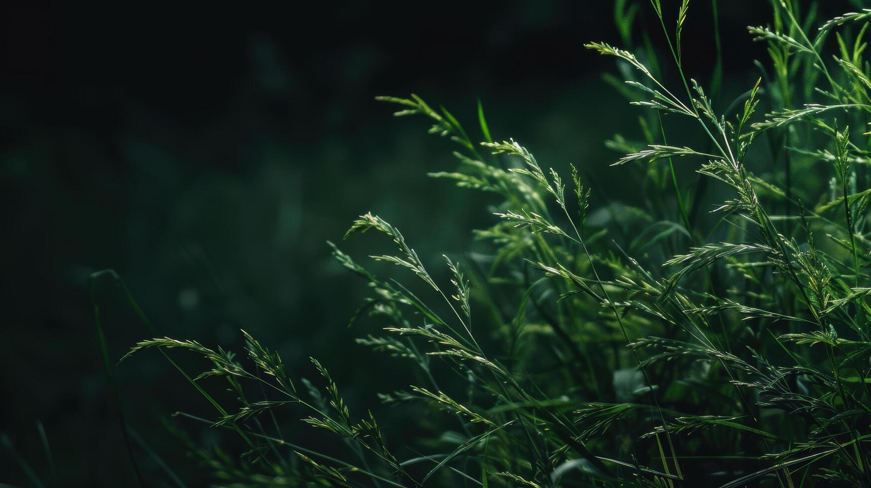 Lush green grass with blades swaying in the wind photo