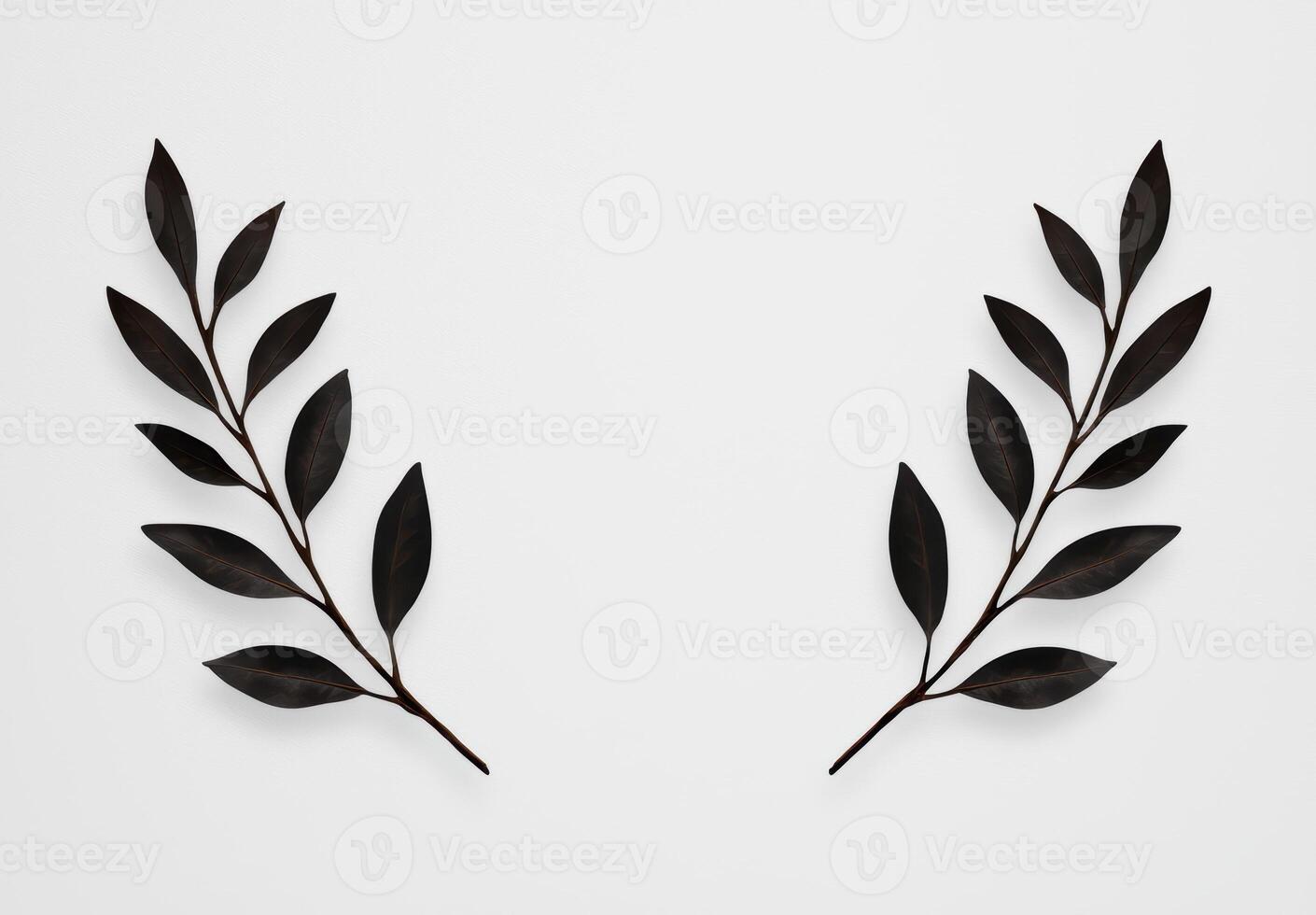 elegant black leaves on white background photo