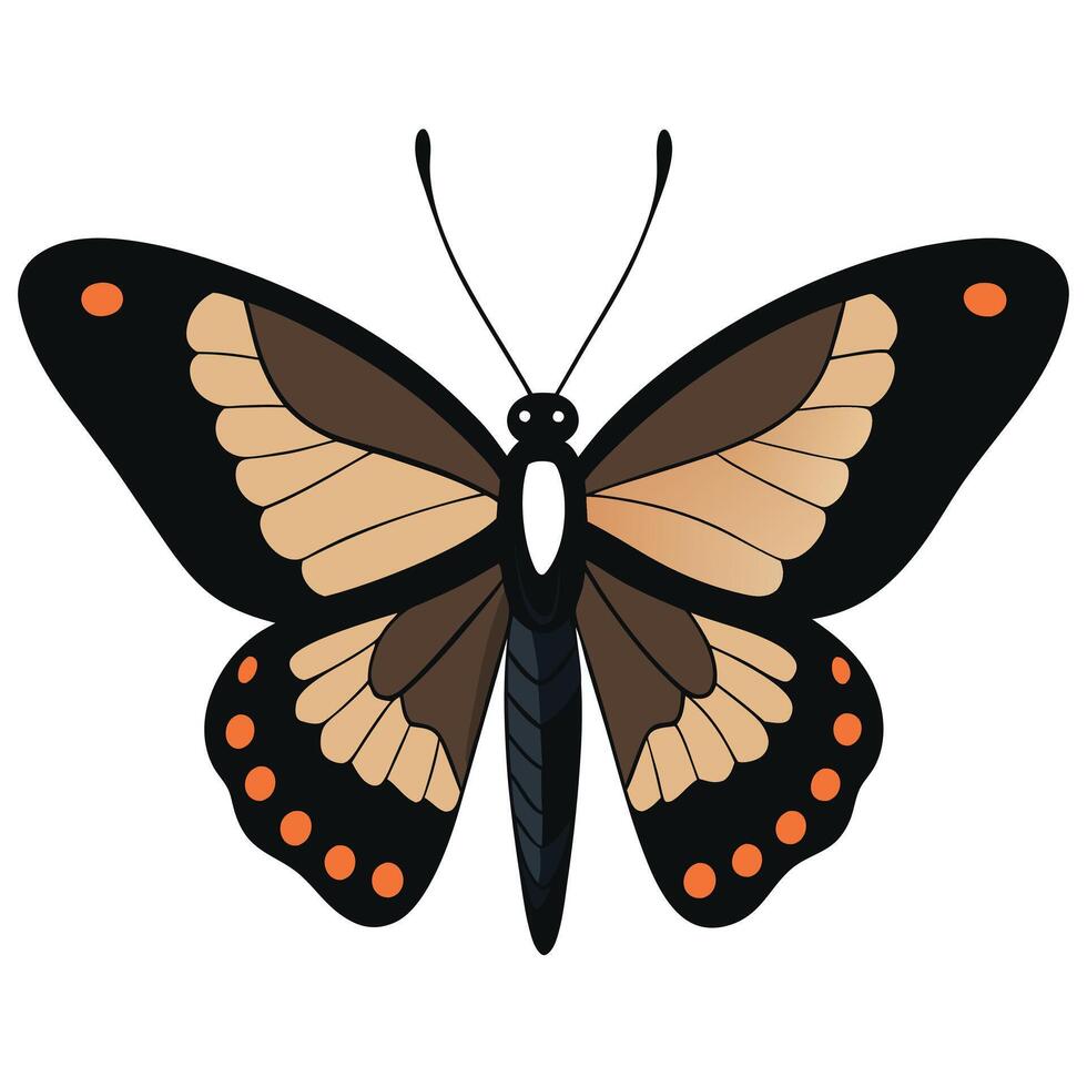 A butterfly with black and orange spots on it vector