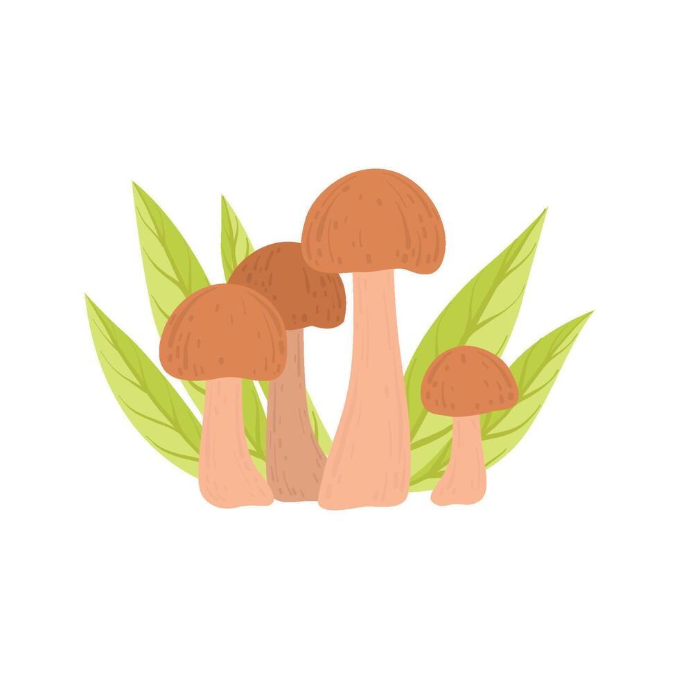 Wild Forest Edible Mushrooms, Eco Product Illustration vector