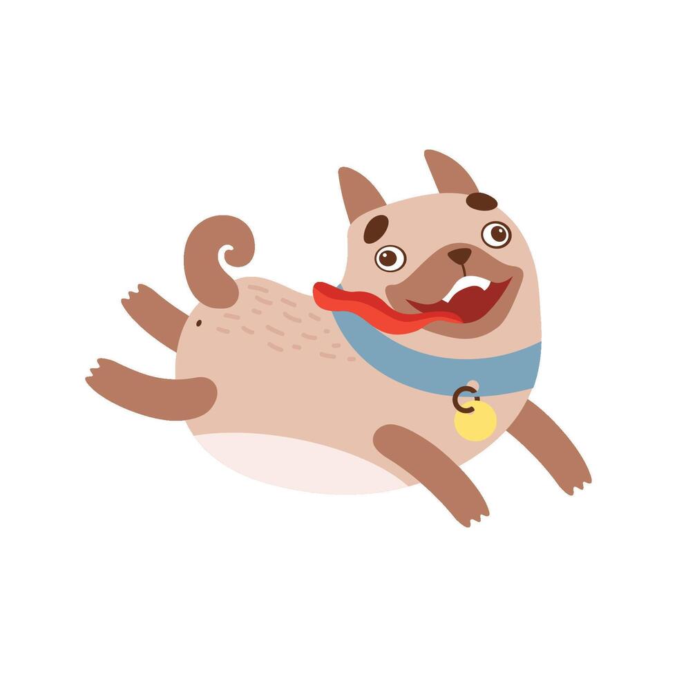 Cute Pug Dog Running with Tongue Out, Funny Friendly Animal Pet Character Illustration vector
