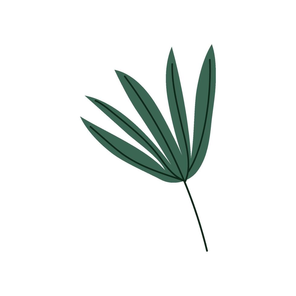 Tropical Palm Split Leaf, Botanical Design Element Illustration vector