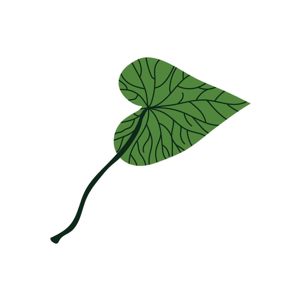 Green Leaf of Tropical Tree, Botanical Design Element Illustration vector