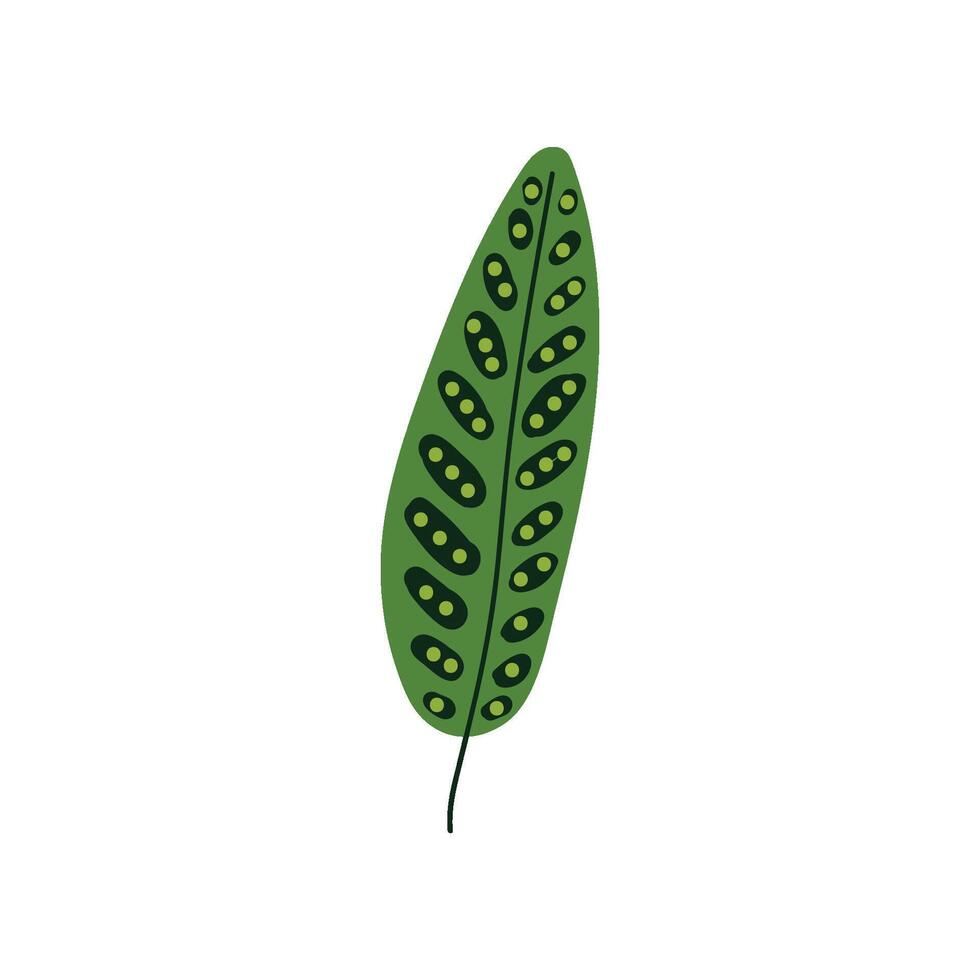 Tropical Palm Tree Leaf, Green Botanical Design Element Illustration vector