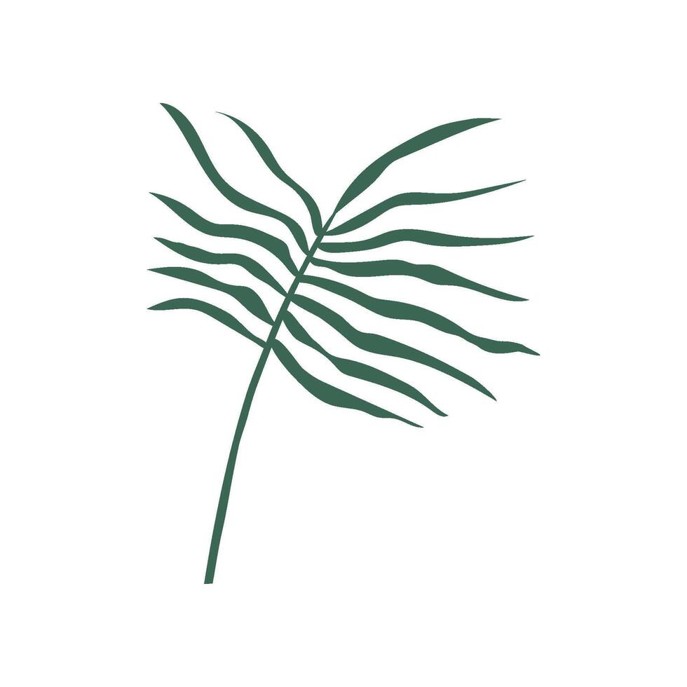 Tropical Palm Leaf, Green Botanical Design Element Illustration vector