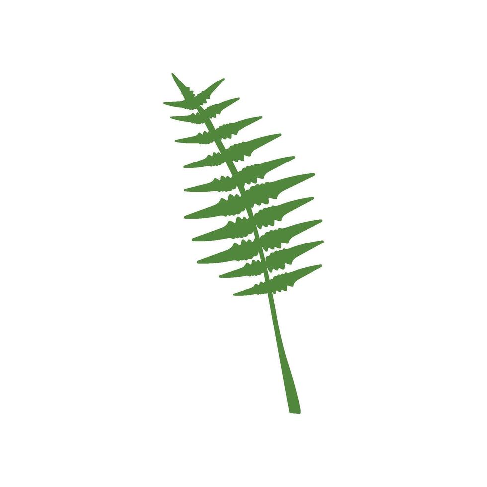 Exotic Tropical Feathery Palm Leaf, Botanical Design Element Illustration vector
