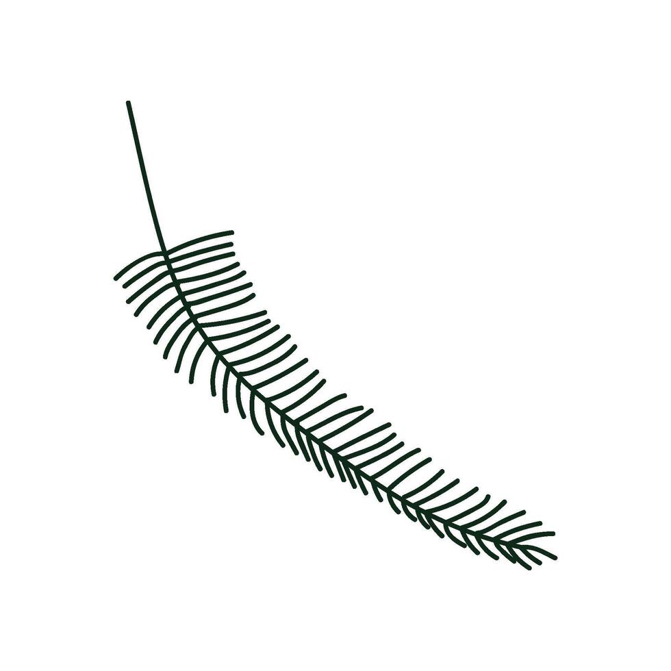 Tropical Palm Green Leaf, Botanical Design Element Illustration vector