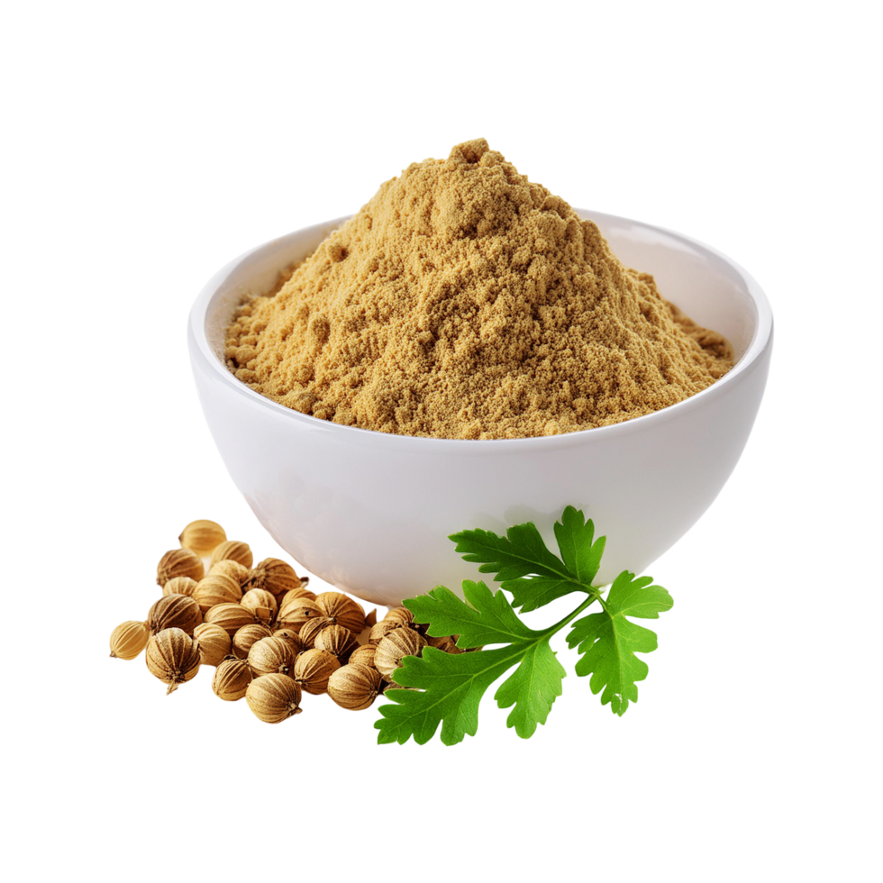 Coriander powder bowl with coriander seed on transparent background png