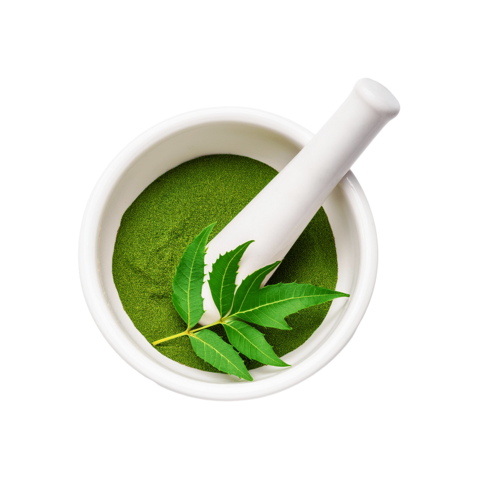 Fresh green neem leaf with ceramic mortar and pestle on transparent background png