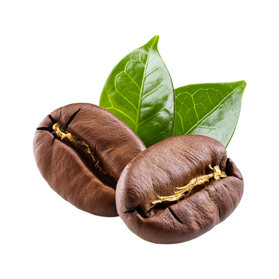 Realistic Coffee beans with leaf on transparent background png