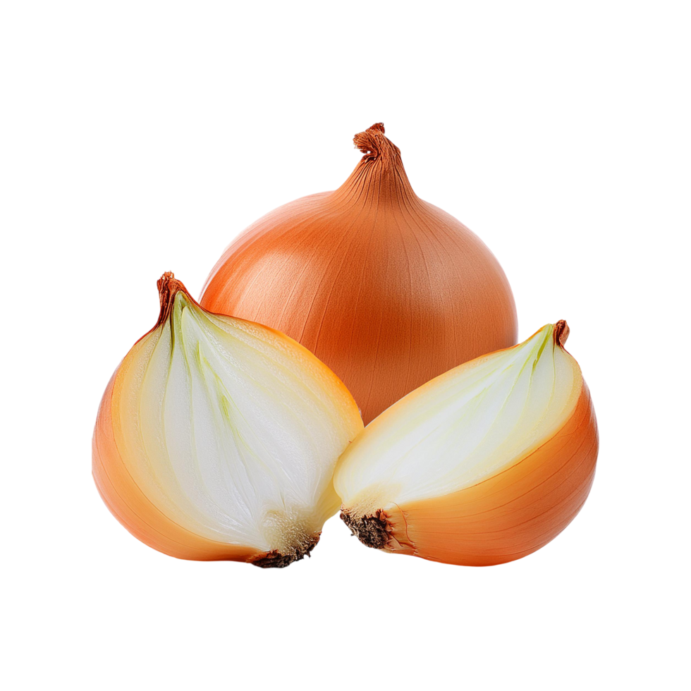 Fresh onion with slices on transparent background png