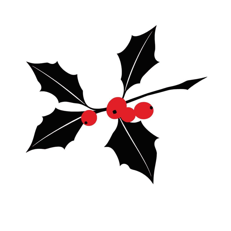 Christmas holly branch vector
