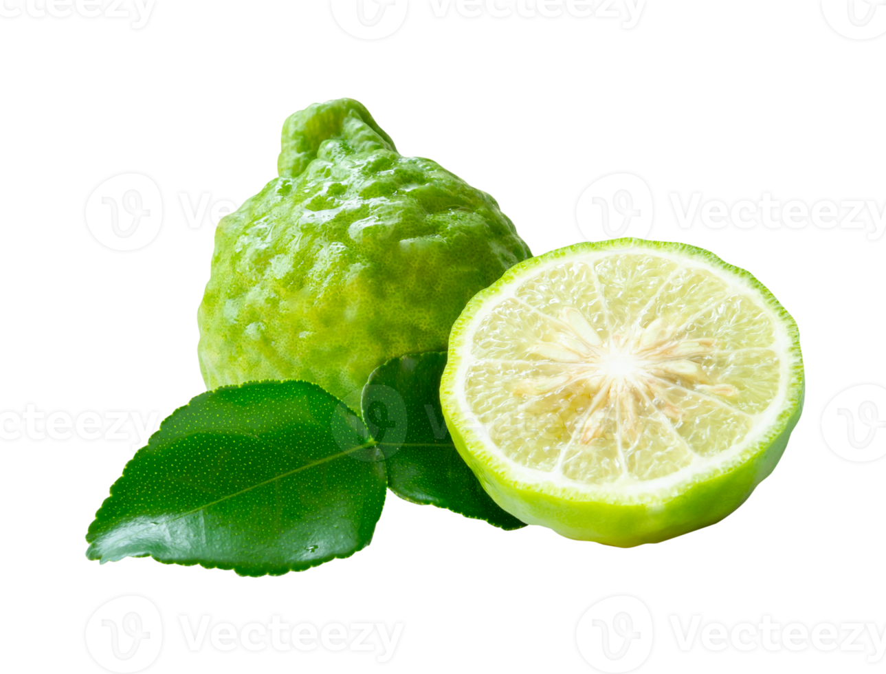 Side view of fresh green bergamot fruits or kaffir lime with half and green leaf in stack isolated with clipping path in file format png